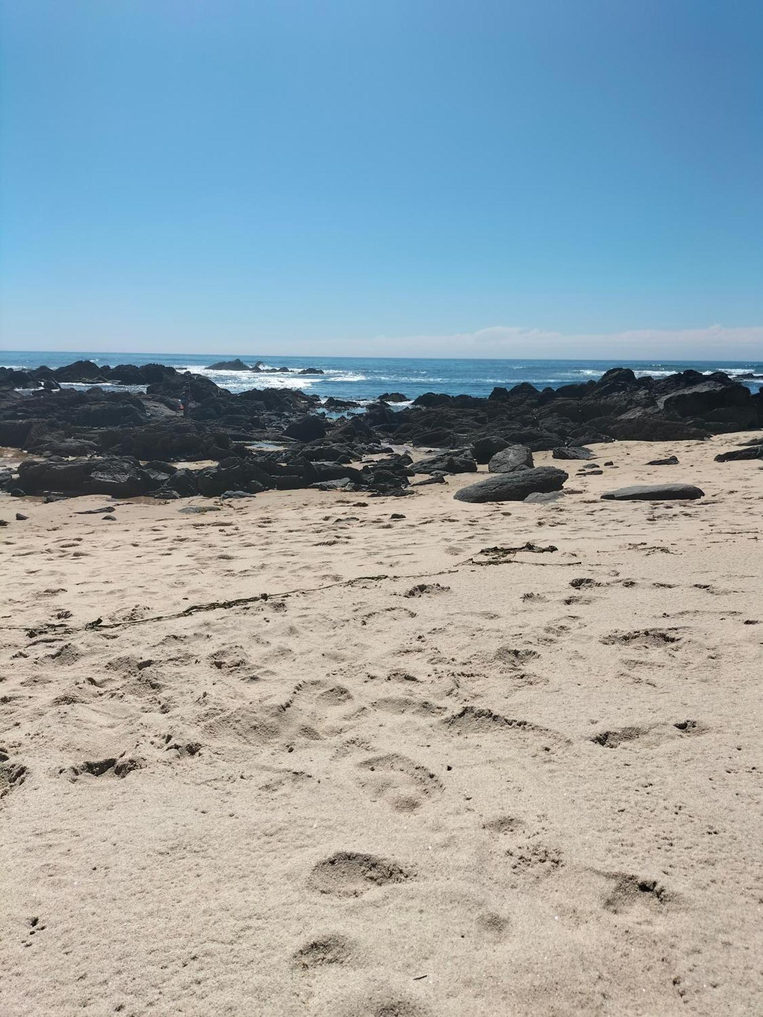 Casa De Madeira E Pedra Villa Afife Dış mekan fotoğraf